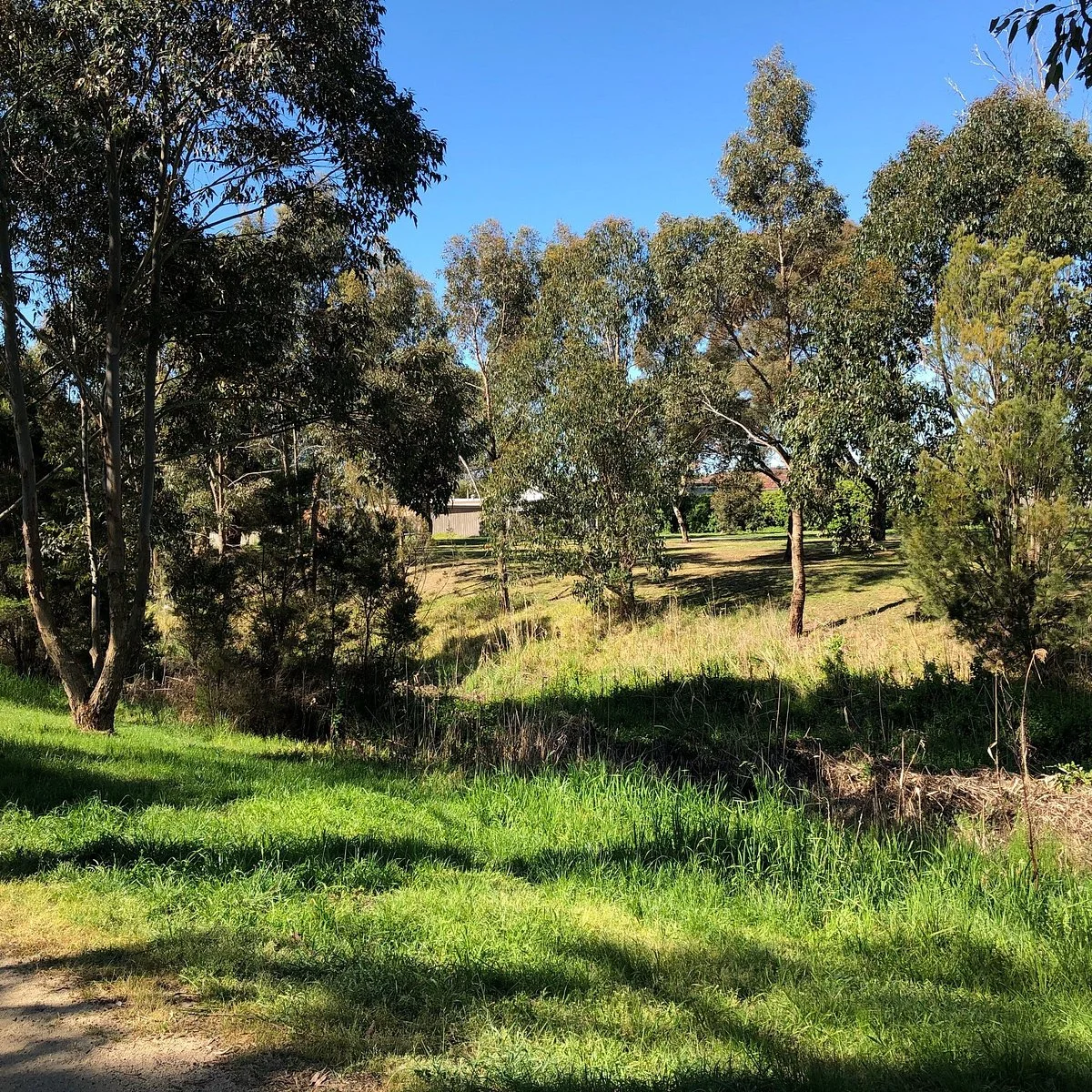 Waterhole Creek Cultural Trail