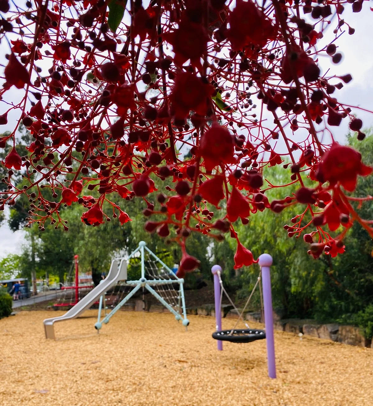 Newmarket Plaza Playground