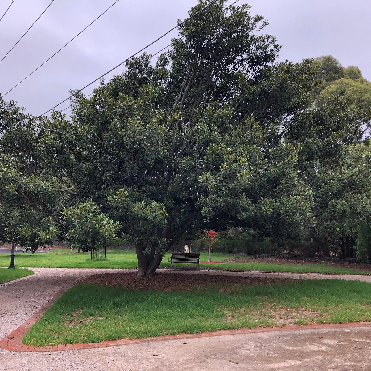 ANZAC Gardens