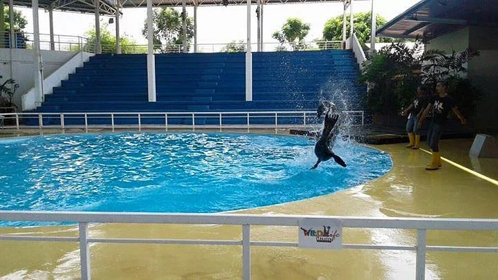 Wildlife Theatre Melaka