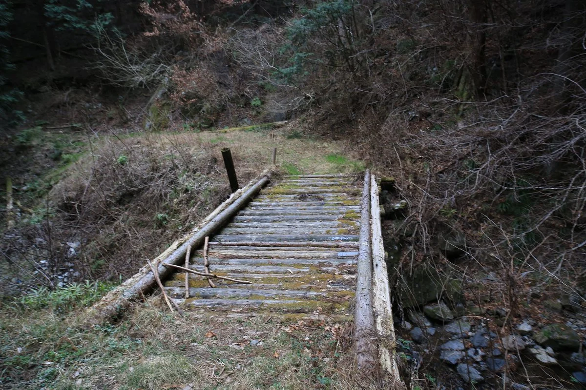 Ubakkashi