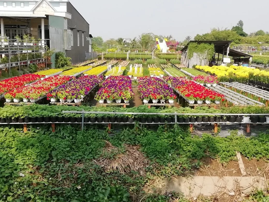 Sadec Flower Village