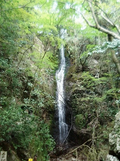 Tado Valley