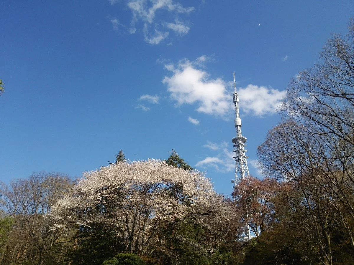 Sendai City Wild Plants Garden