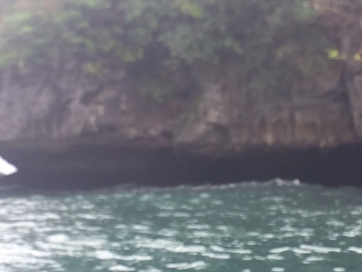 Scout Island