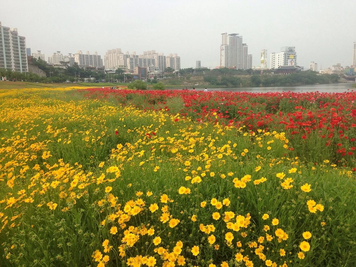 Taehwagang National Garden