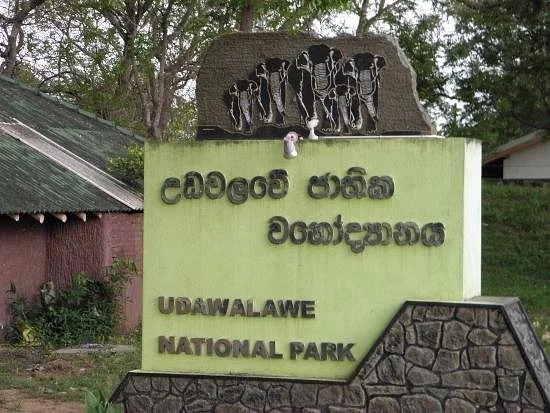 Udawalawe National Park