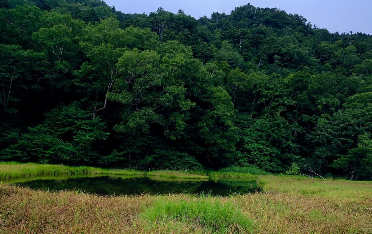 Tsurugaike Pond