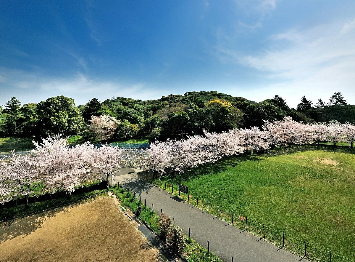 Ojinryo Ancient Tomb