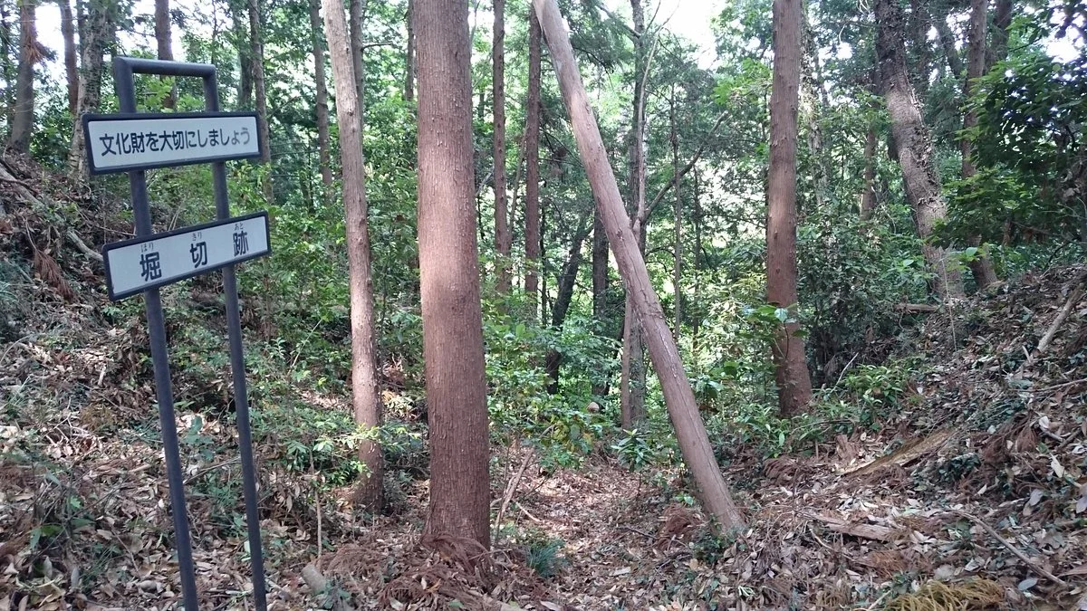 The Site of Aoyama Castle