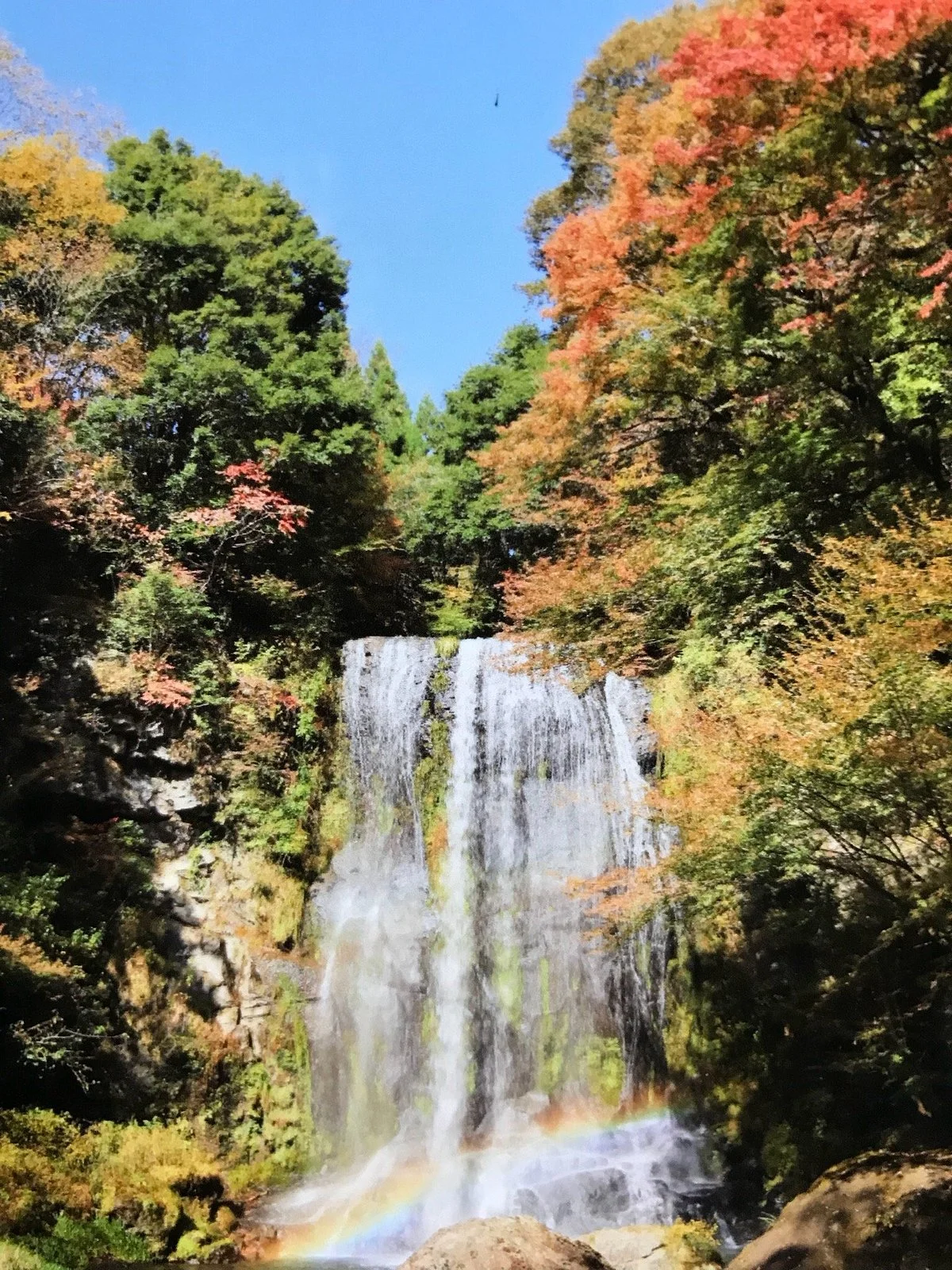 Yusui Shizen no Mori