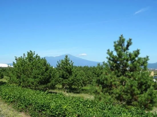 Sakata Art Museum