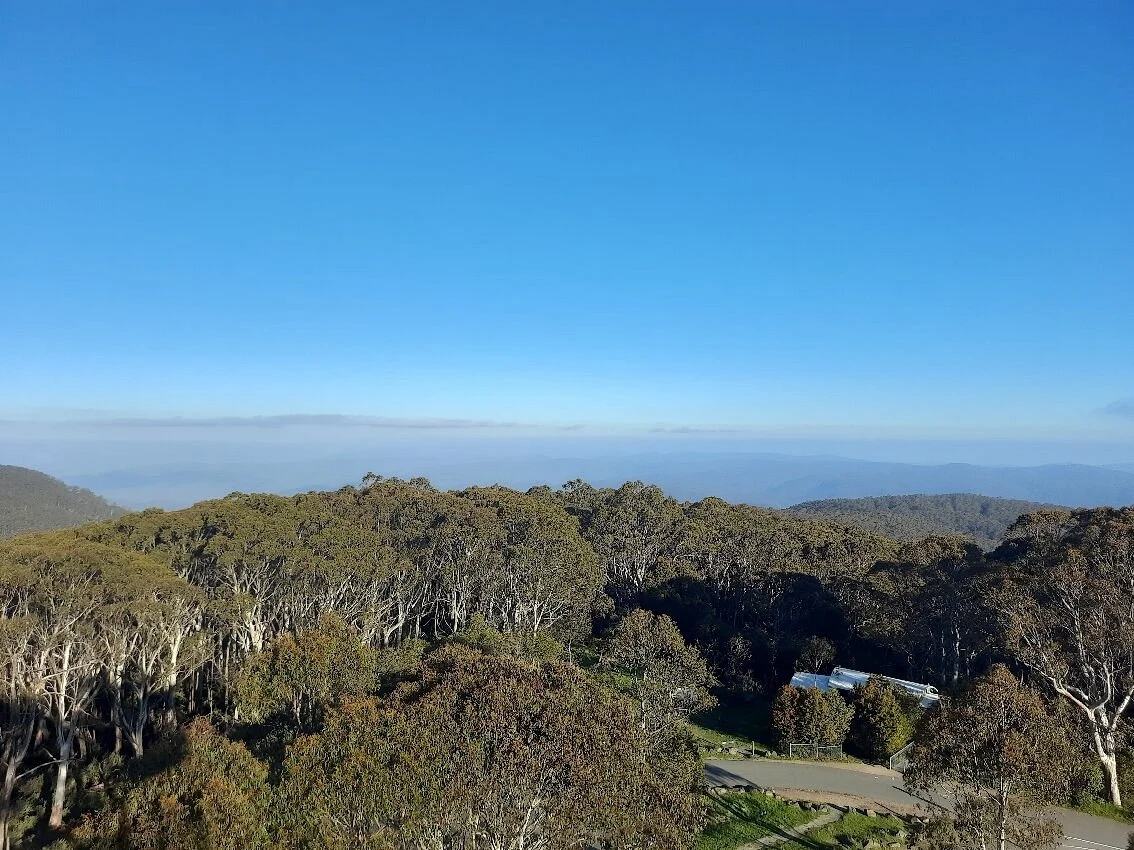 Mount Donna Buang