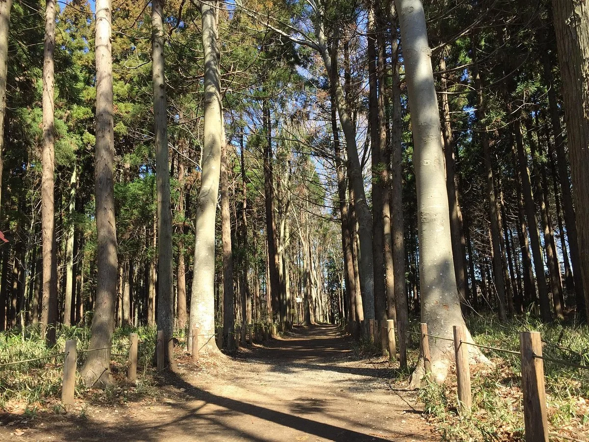 Funabashi Kemmin no Mori