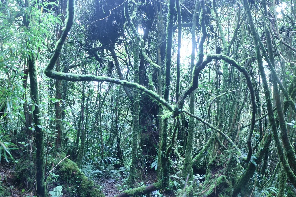 Mount Berembun