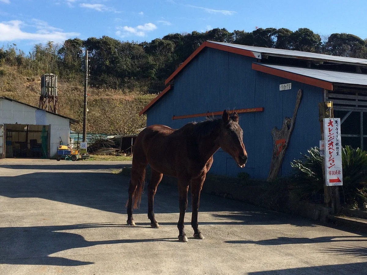 Keiran Ranch