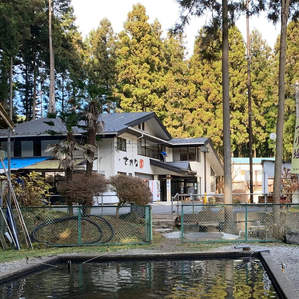 Hinode-machi Shizen Kyuyomura Sakanaen