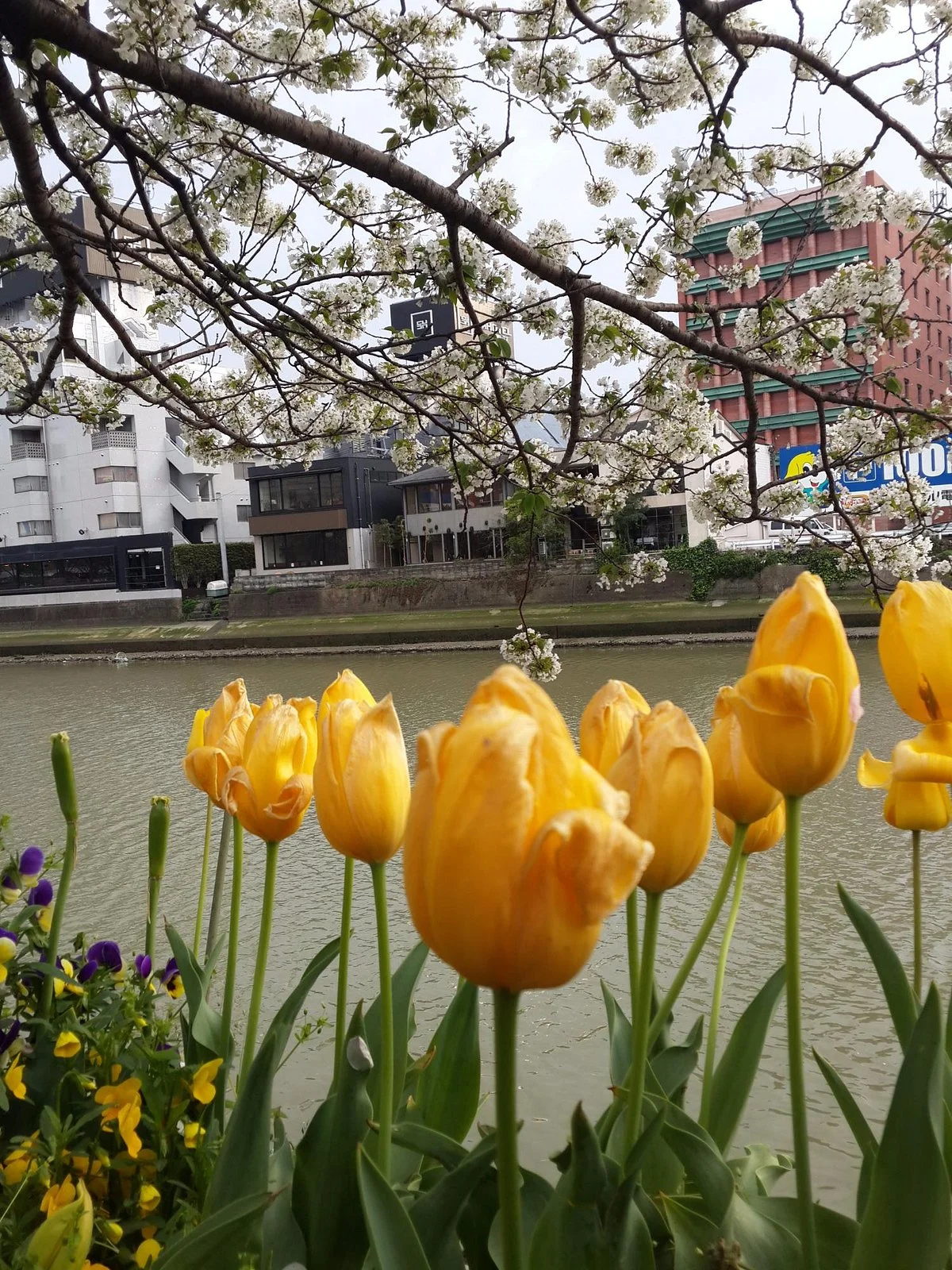 Tenjin Central Park