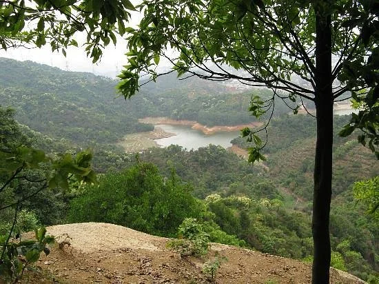 Yangtai Mountain