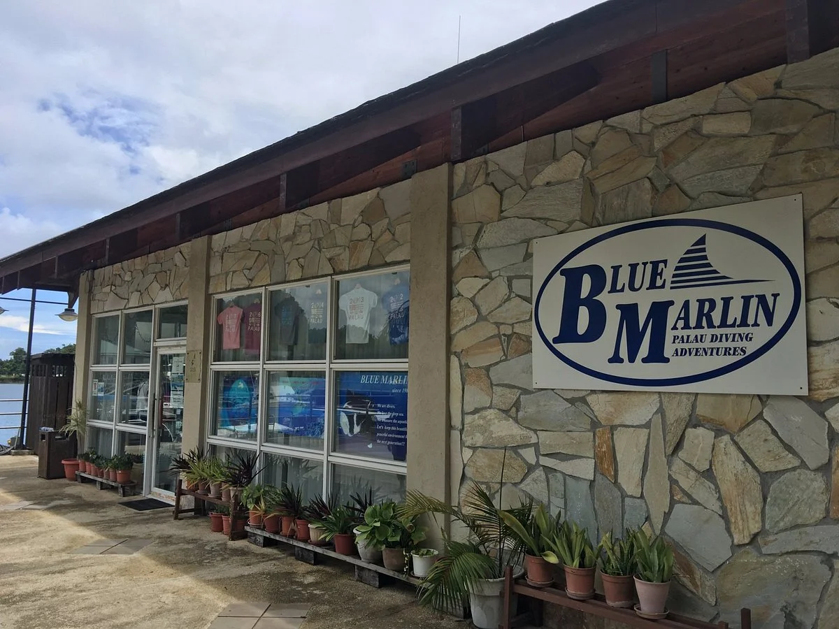 Blue Marlin
