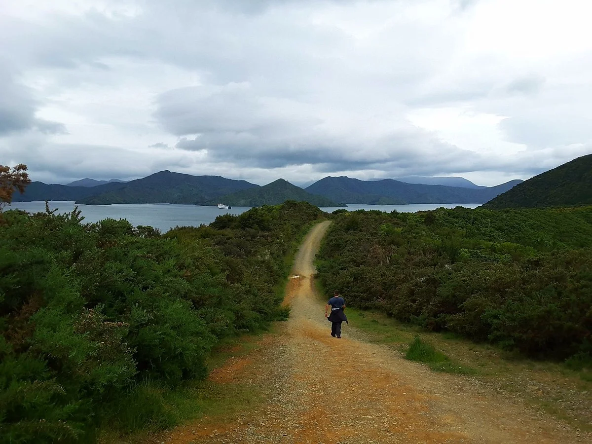 The Snout walking track