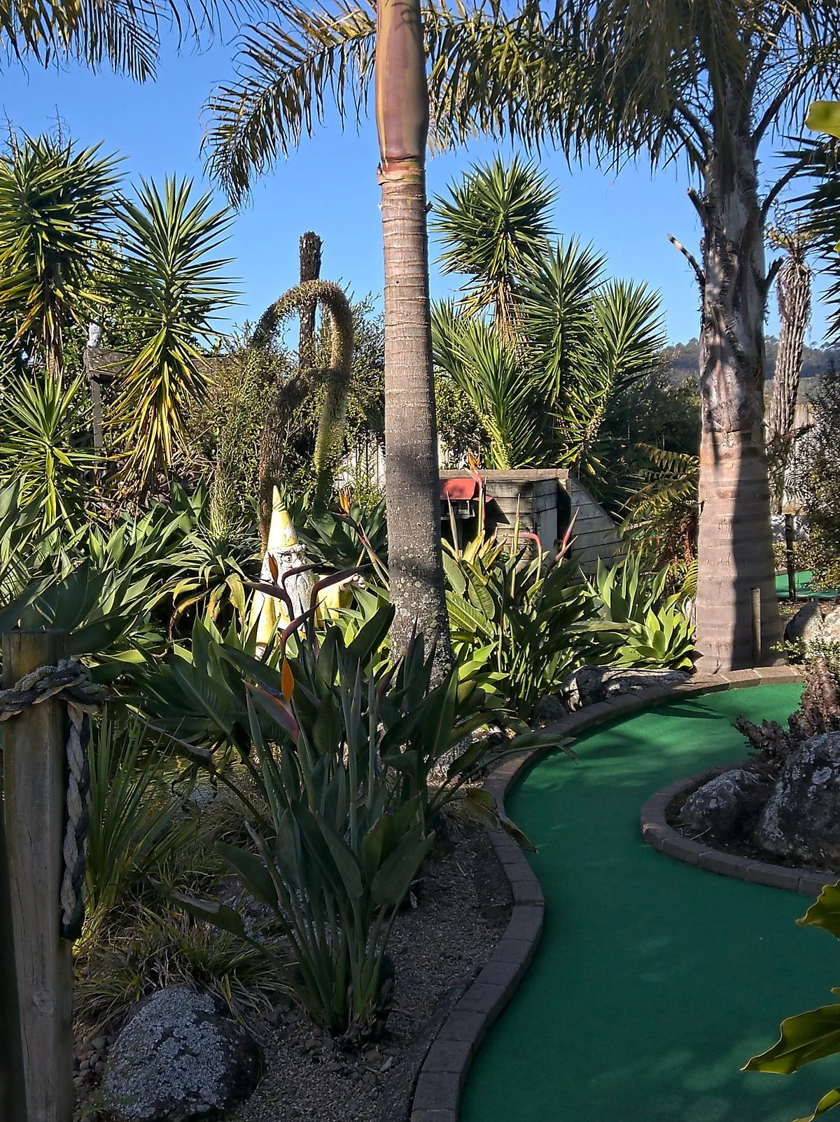 Wild Wood Mini Golf