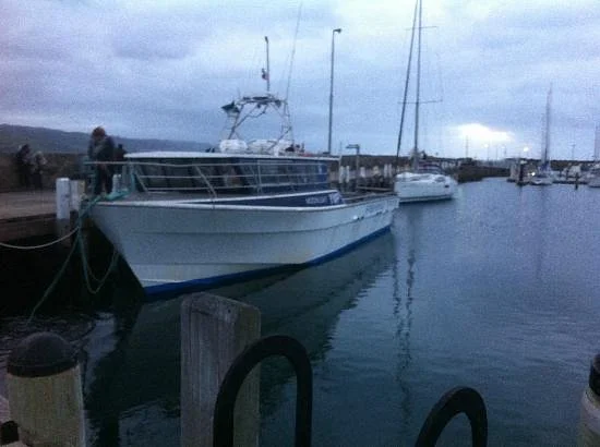 Apollo Bay Fishing & Adventure Tours