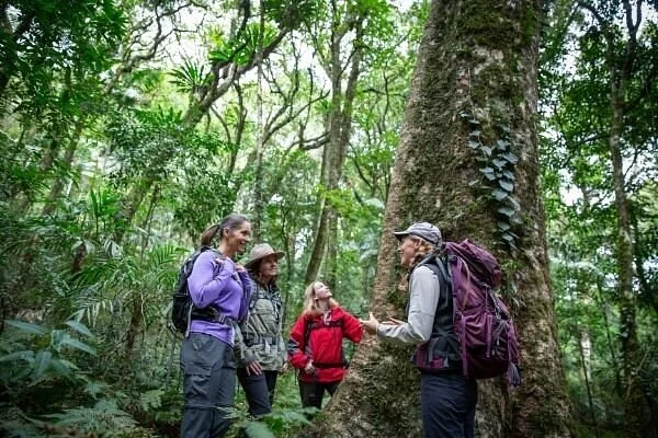 Scenic Rim Trail