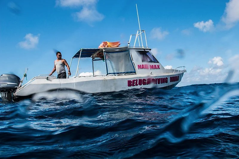 Beluga Diving Vava'u