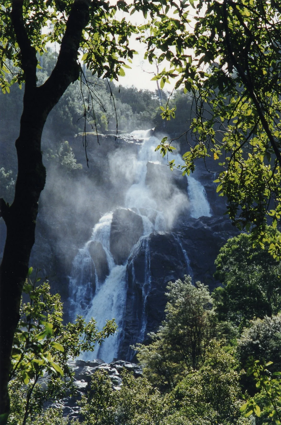 Tas4x4Tours