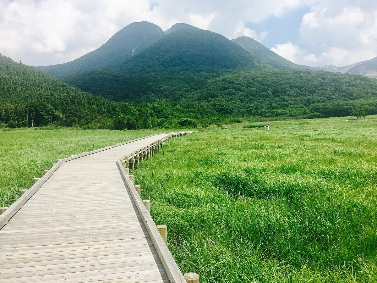 Tadewara Wetlands