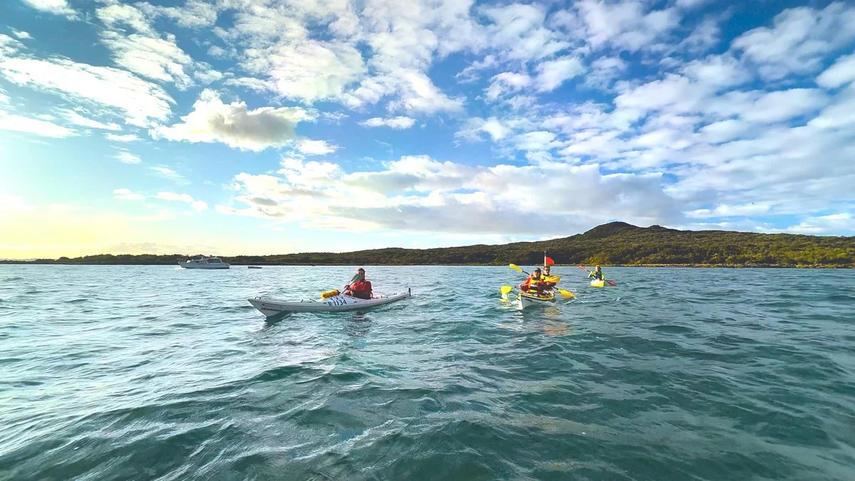 Fergs Kayaks Auckland