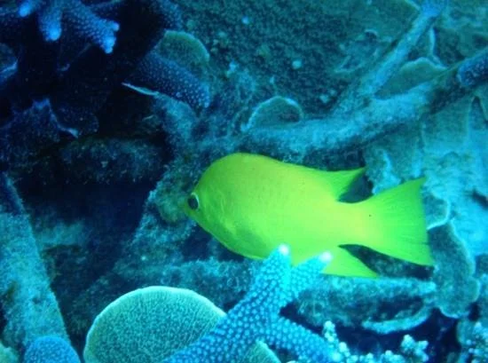 Ningaloo Experience