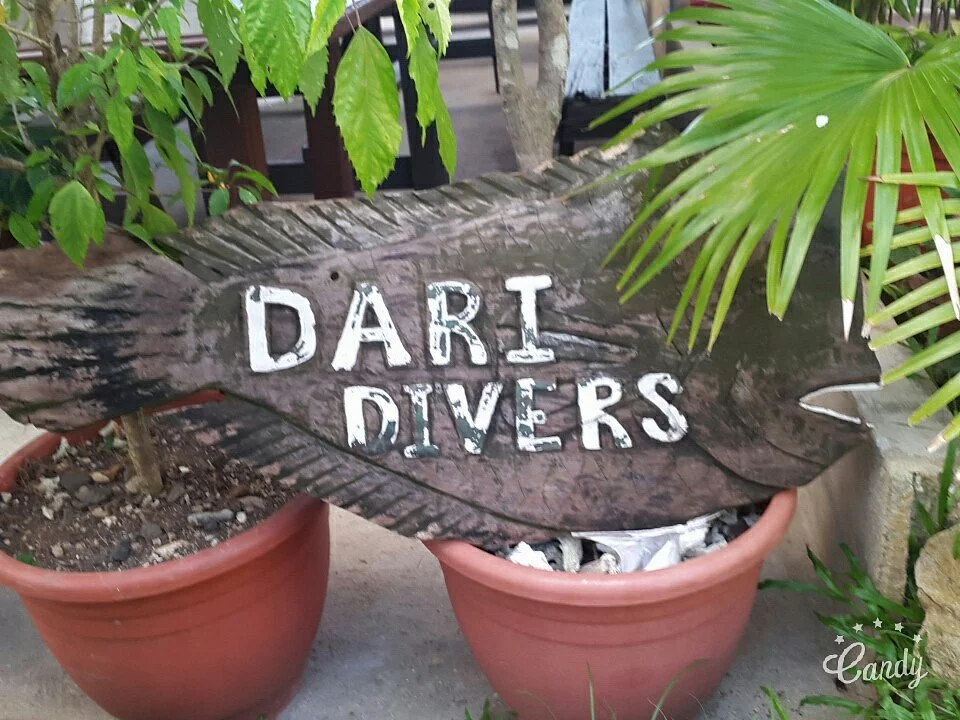 Dari Divers