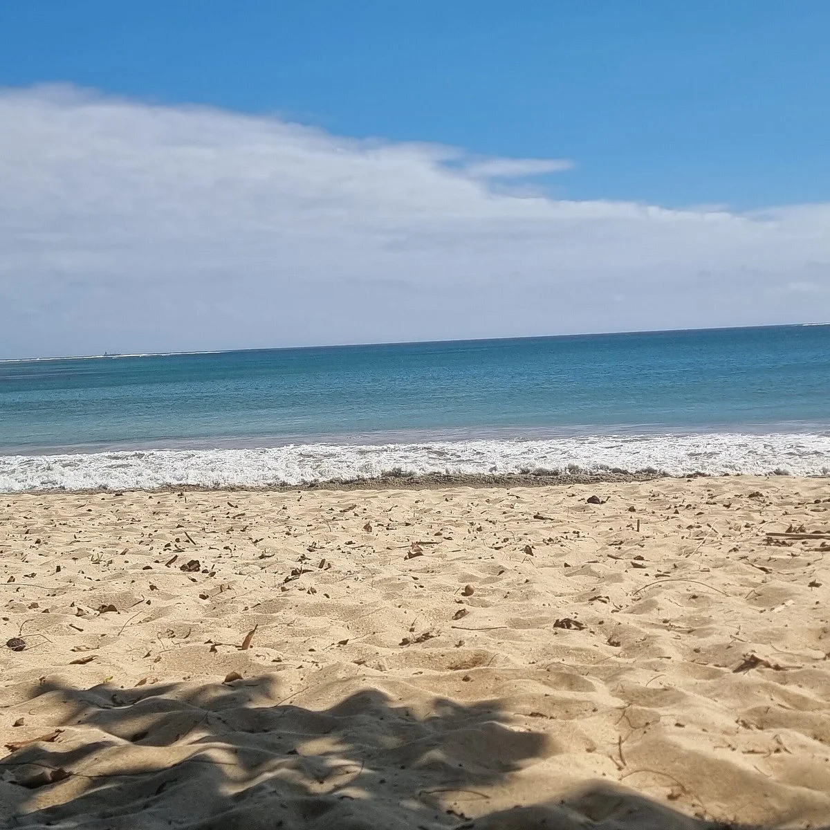 Nena Tours Fiji