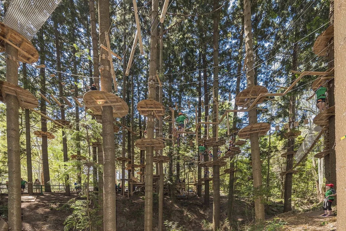 Treetops Adventure The Hills