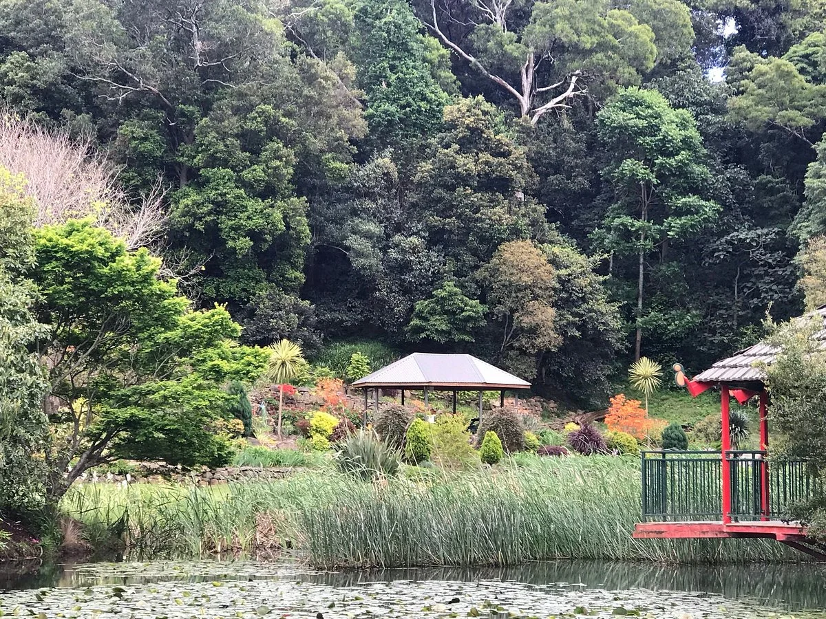 Illawarra Rhododendron Garden