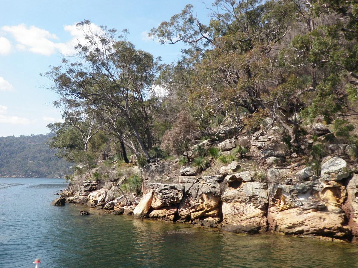 Palm Beach & Hawkesbury River Cruises