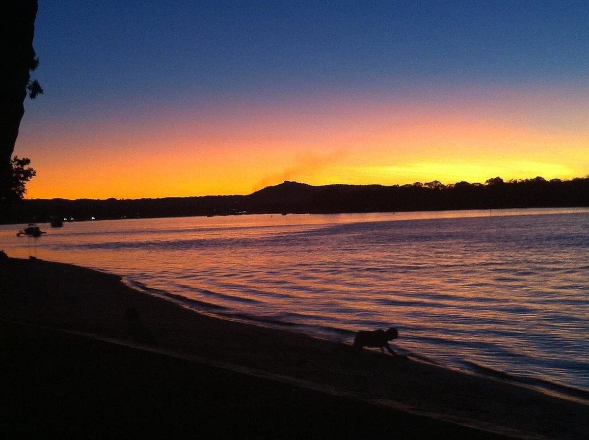 Transfers to Noosa