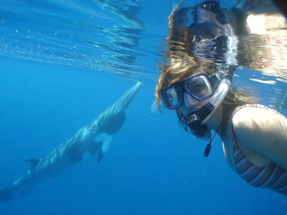 Eye to Eye Marine Encounters