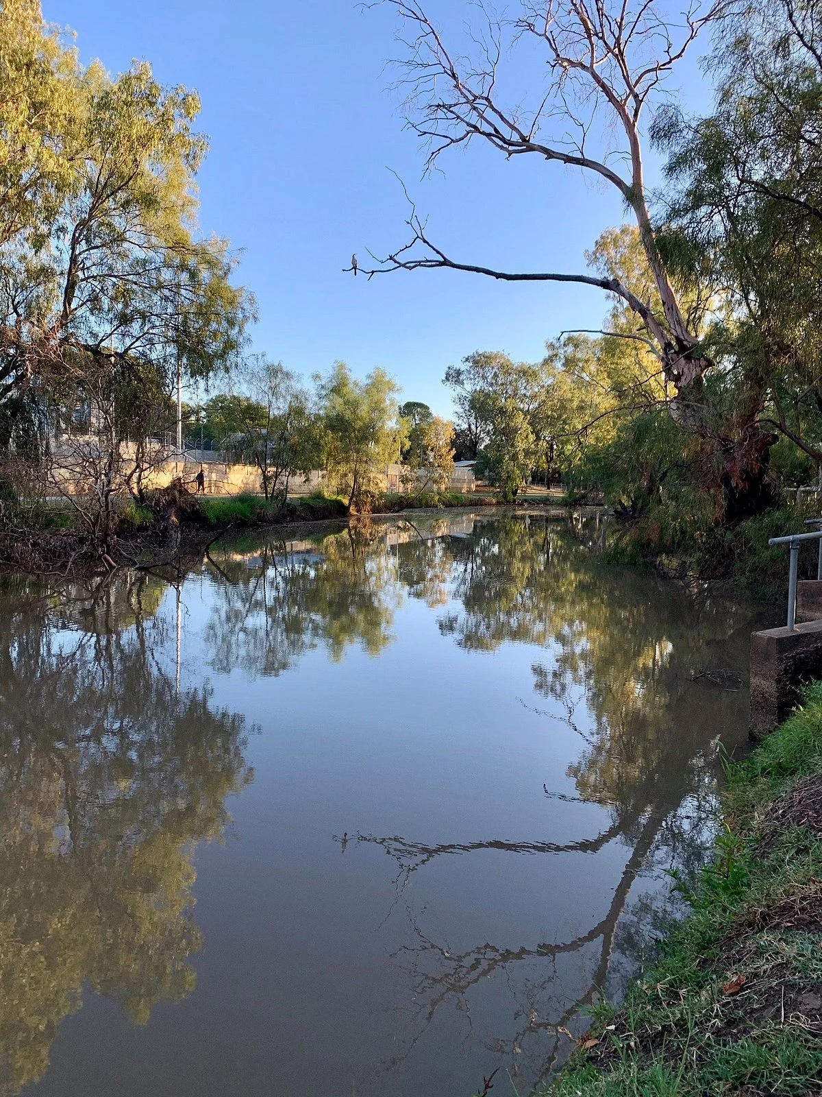 Myall Creek Parklands Walkway