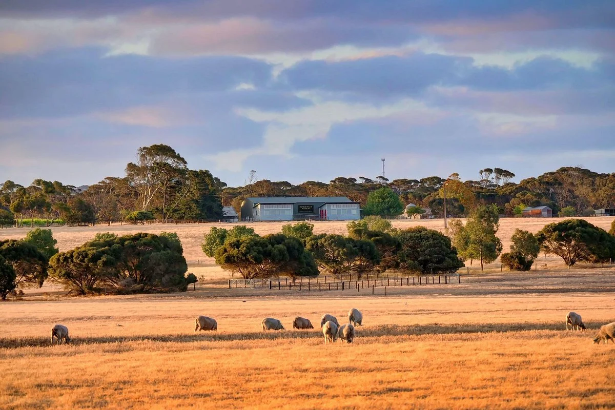 Springs Road Wines Kangaroo Island
