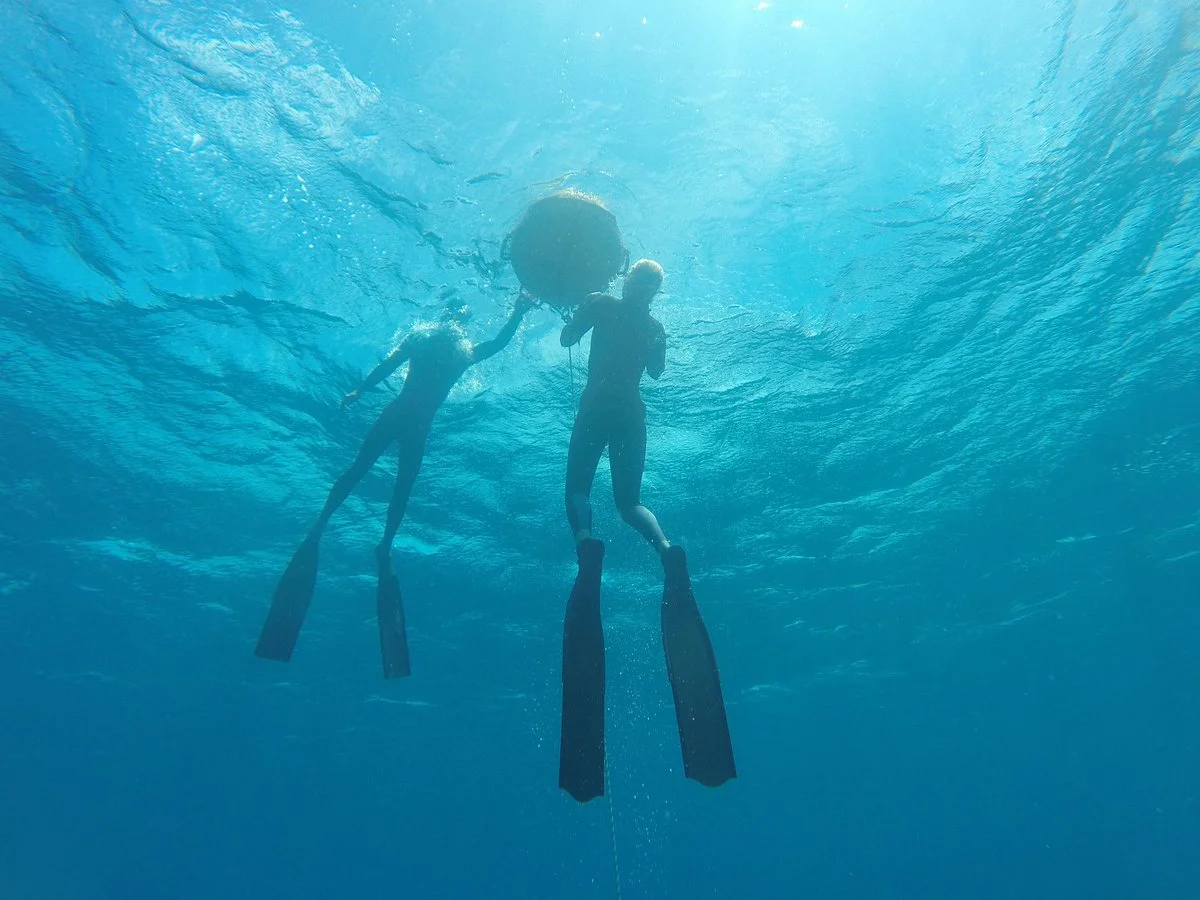 Freediving Gold Coast