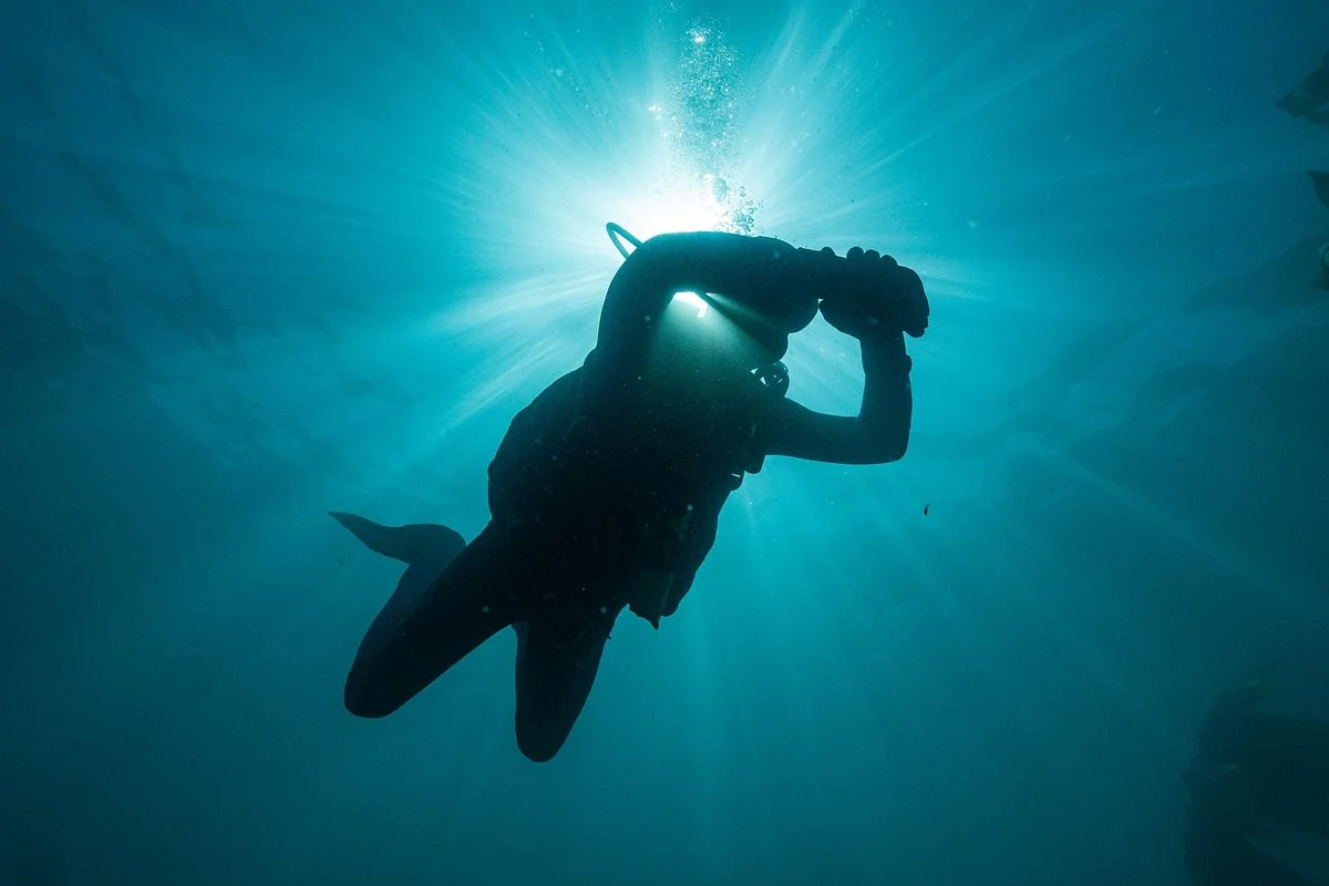 Daves' Diving Kaikoura