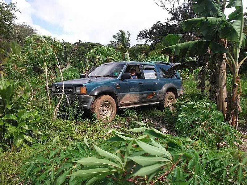 A5 Private Tours
