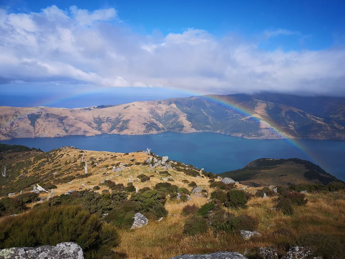Banks Peninsula Track
