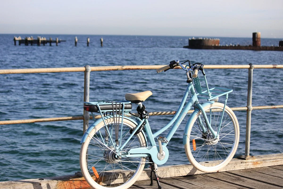 The eBike Butler