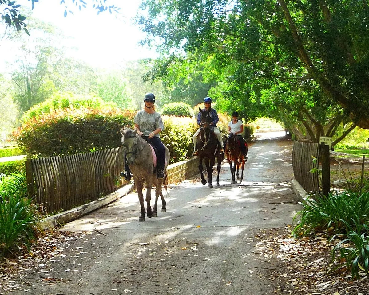 Port Macquarie Horse Riding Centre