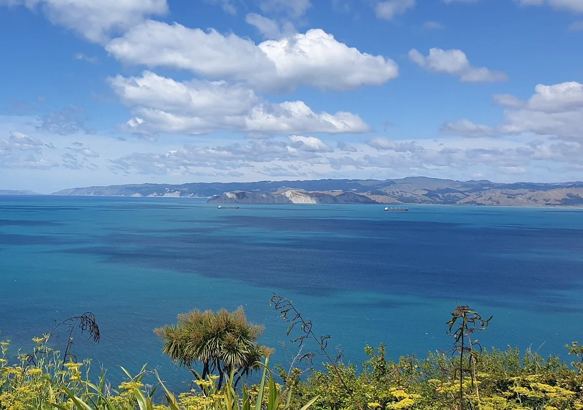 Gisborne Tours