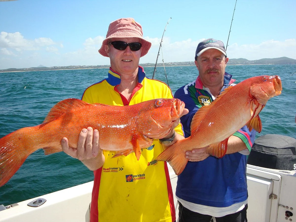 Noosa Bluewater Charters